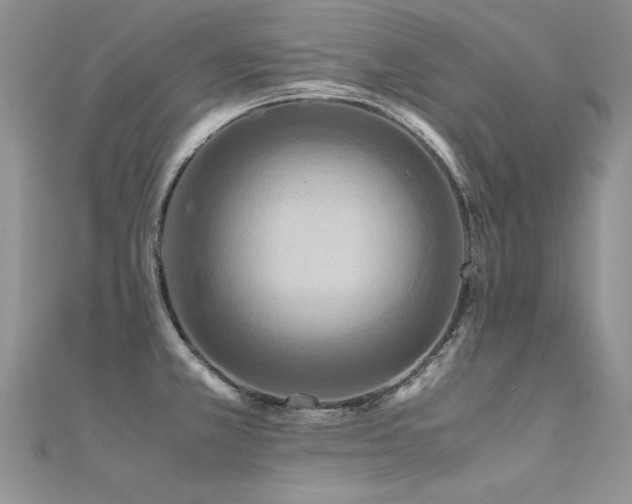 X0000112411381200908141351