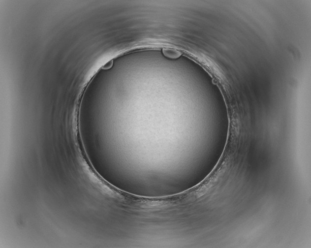 X0000112411382200908141351