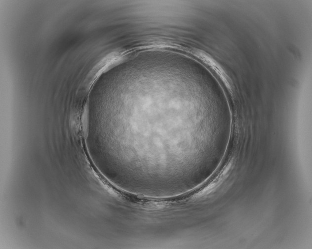 X0000112411385200908141351