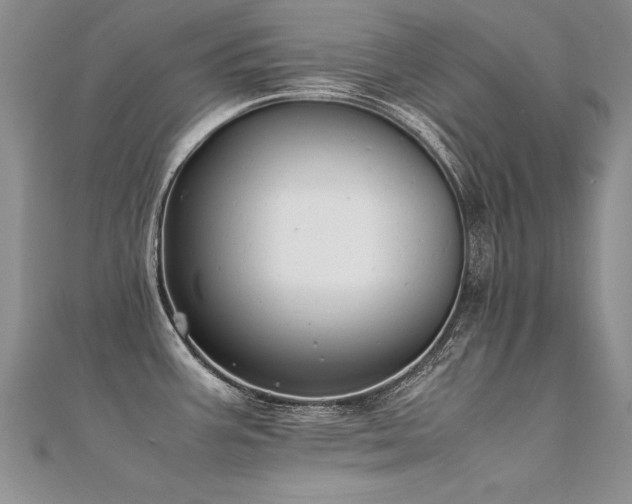 X0000112411387200908141351