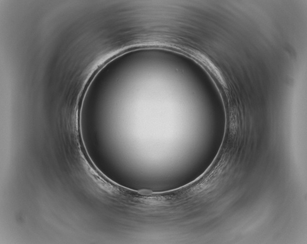 X0000112411388200908141351