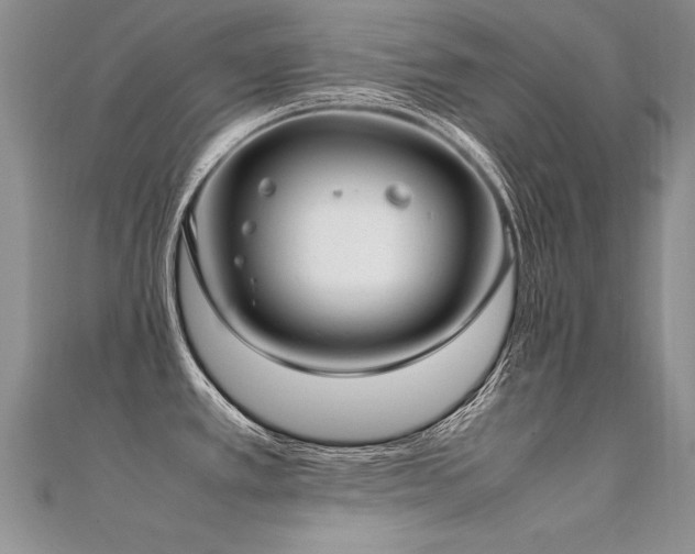 X0000112411389200908141351