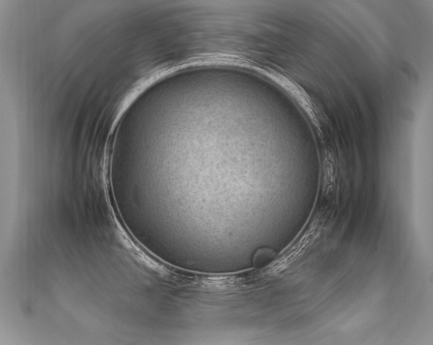 X0000112411390200908141351
