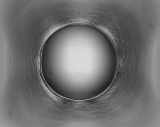 X0000112411391200908141351