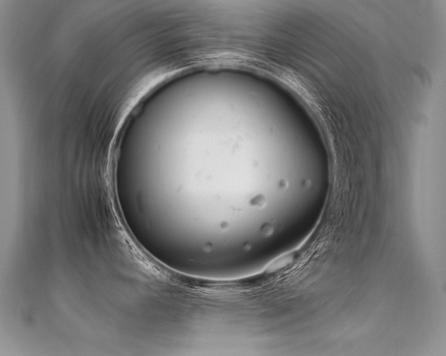 X0000112411392200908141351