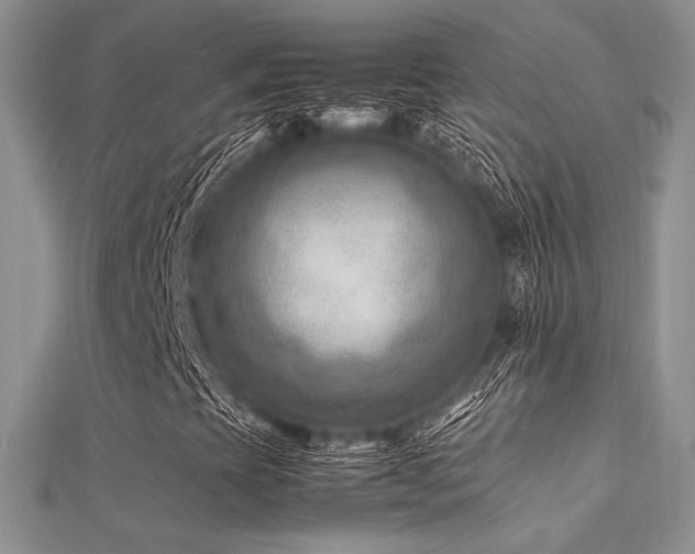 X0000112411393200908141350