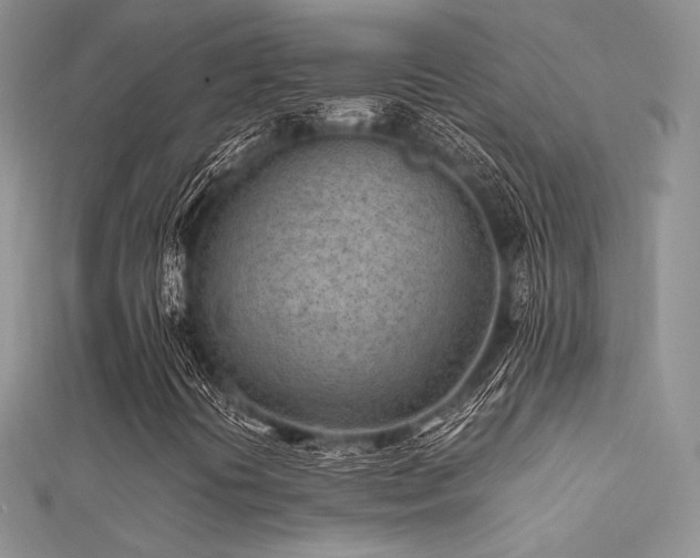 X0000112411394200908141350