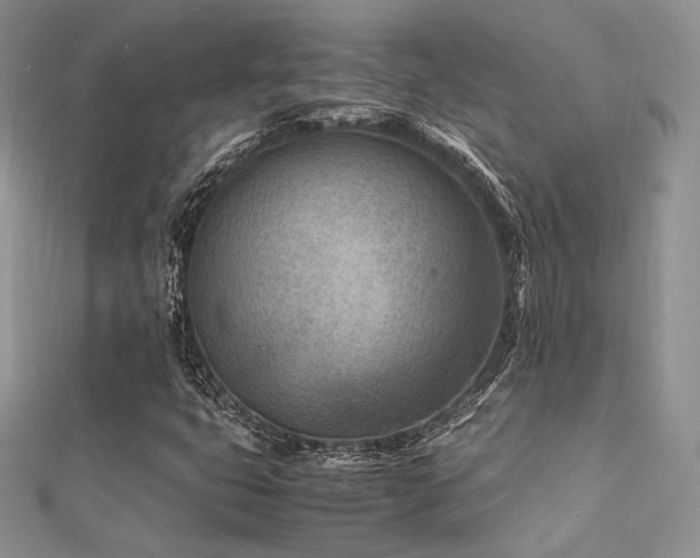X0000112411399200908141350