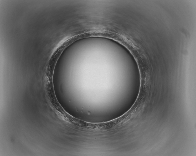X0000112411400200908141351