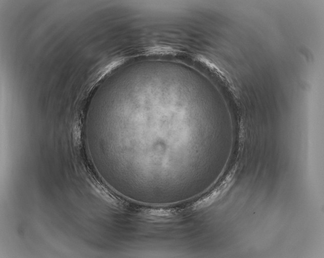 X0000112411401200908141351