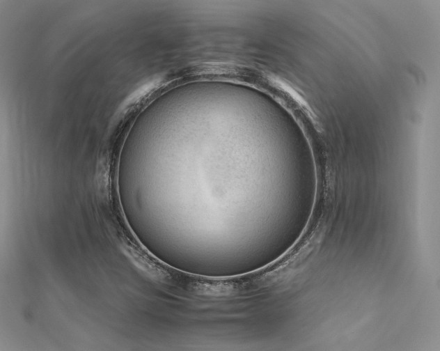 X0000112411403200908141351