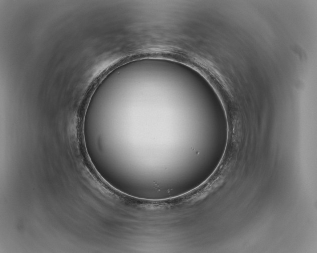 X0000112411404200908141351