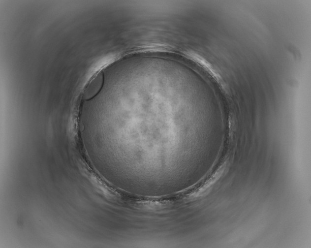 X0000112411405200908141351