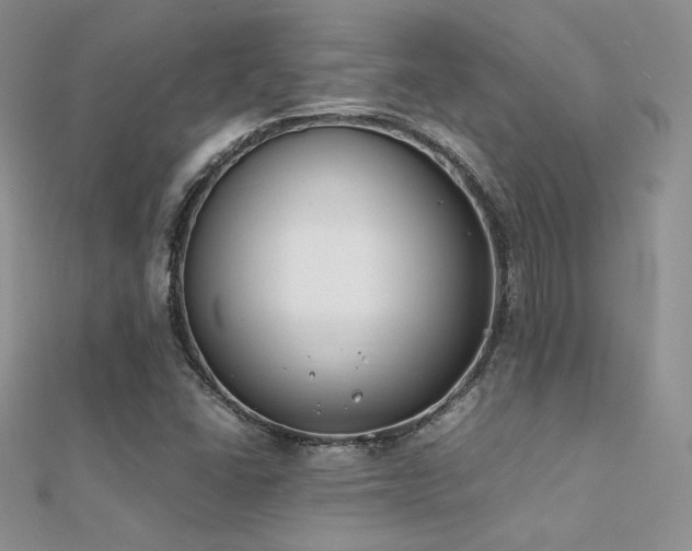 X0000112411406200908141351