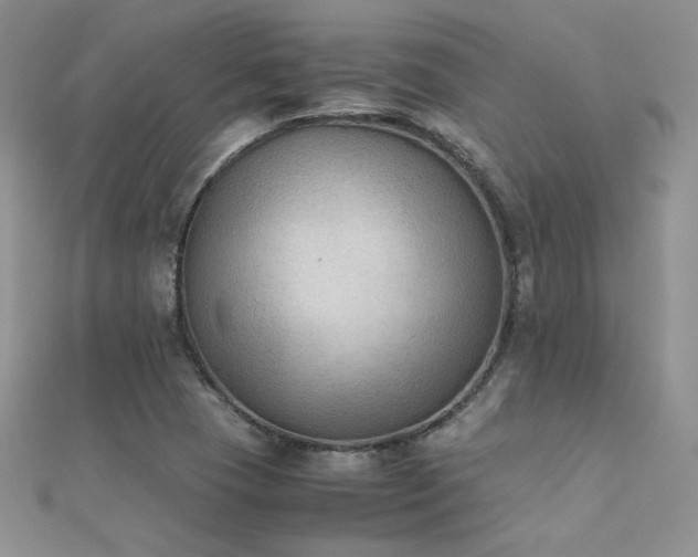 X0000112411409200908141351