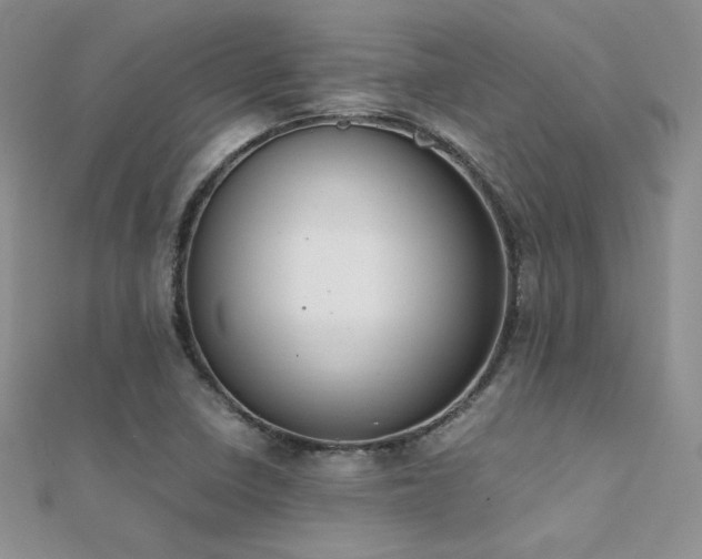 X0000112411410200908141351
