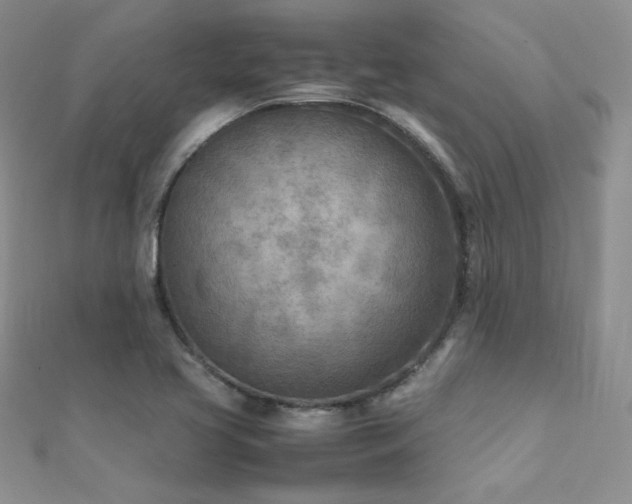 X0000112411413200908141351
