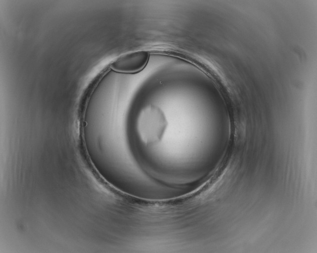 X0000112411414200908141351