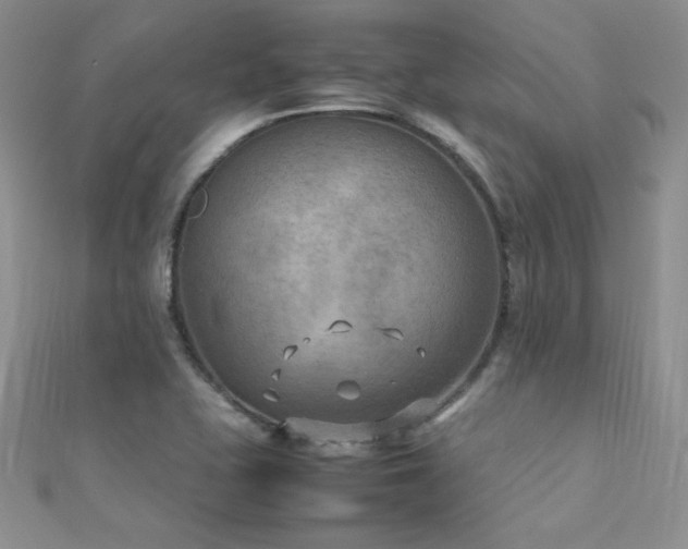 X0000112411415200908141351