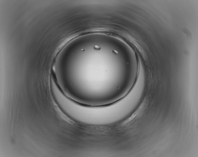 X0000112411417200908141351