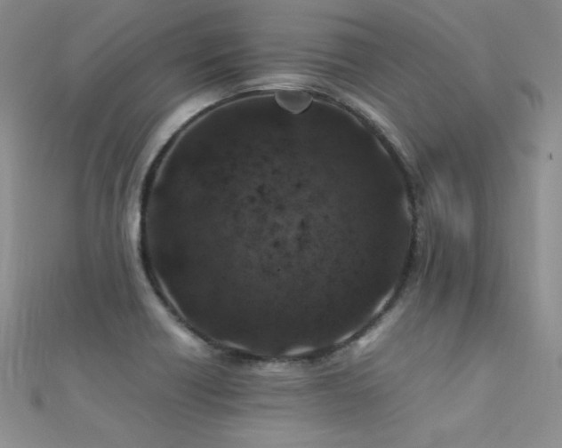 X0000112411418200908141351