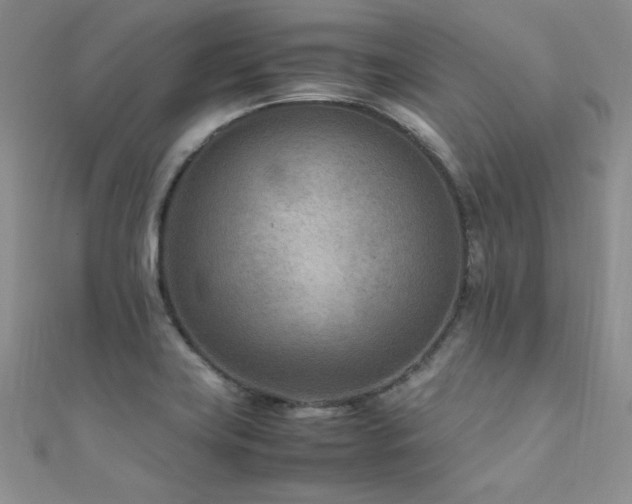 X0000112411419200908141351