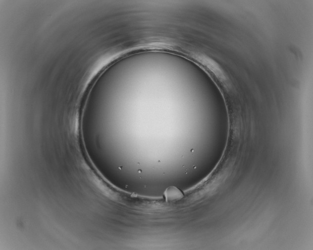 X0000112411420200908141351