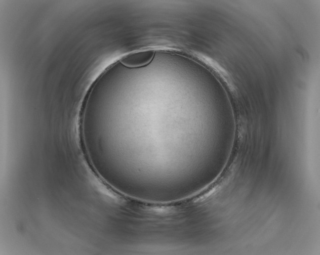 X0000112411423200908141351