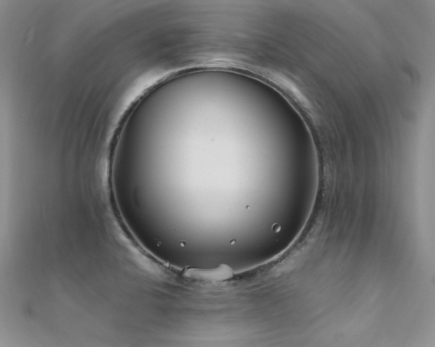 X0000112411424200908141351
