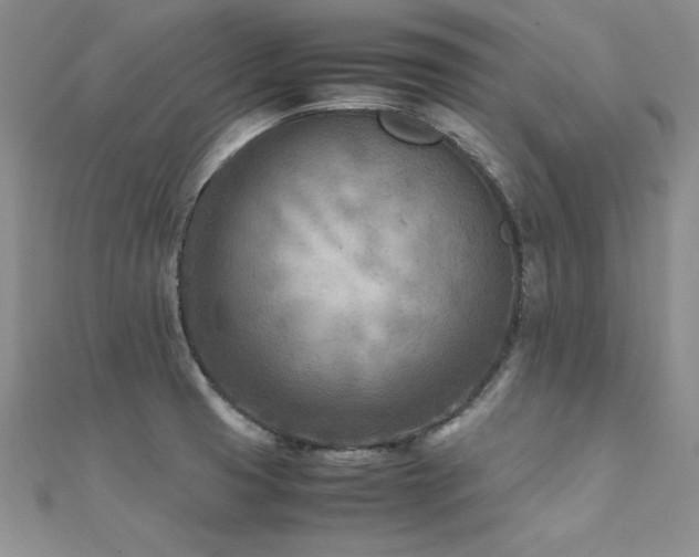 X0000112411425200908141351