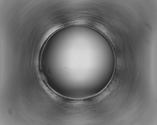 X0000112411426200908141351