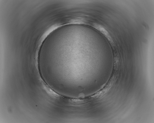 X0000112411427200908141351