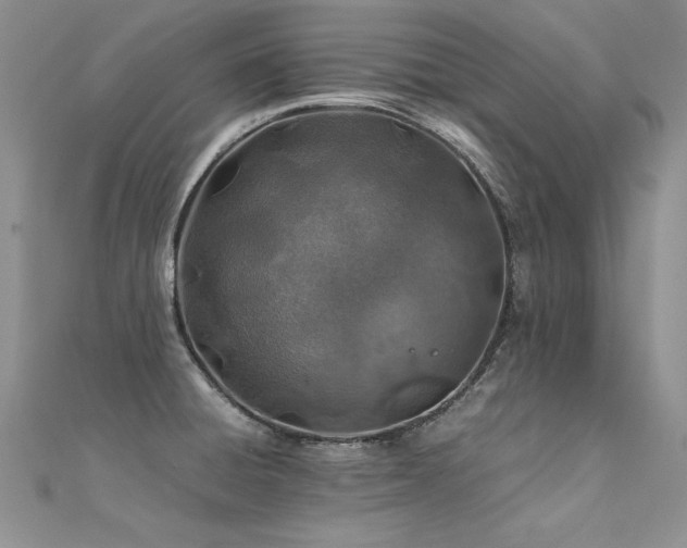 X0000112411428200908141351