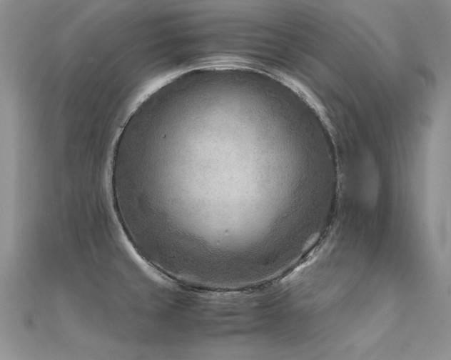X0000112411429200908141351