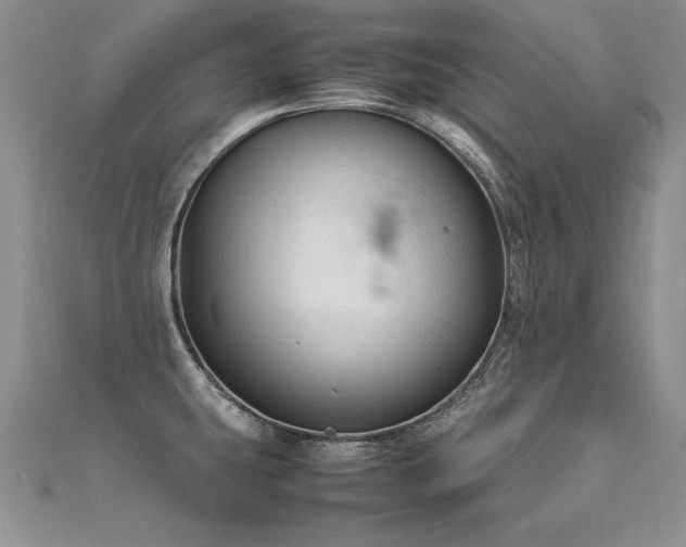 X0000112411431200908141351