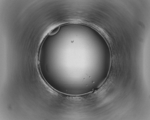 X0000112411432200908141351