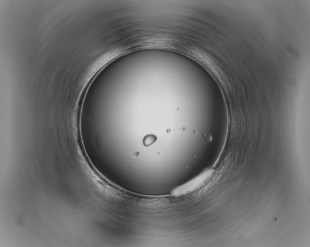 X0000112411434200908141351