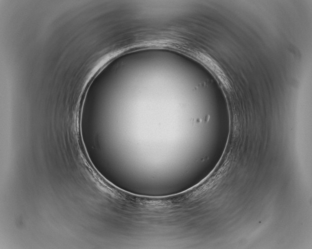 X0000112411436200908141351