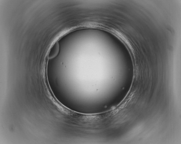X0000112411437200908141351