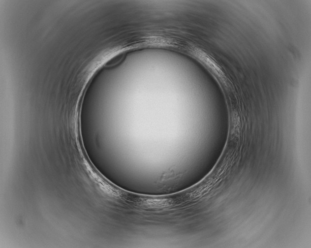 X0000112411439200908141351