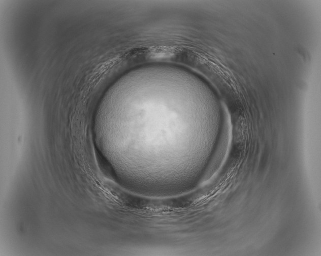 X0000112411441200908141350
