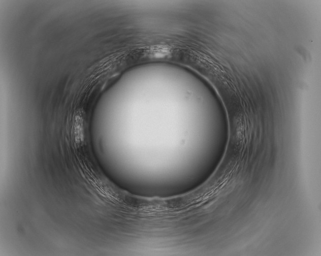 X0000112411442200908141350