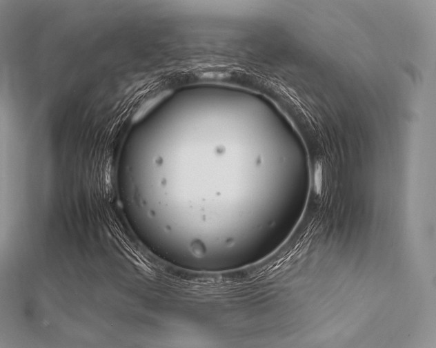 X0000112411444200908141350