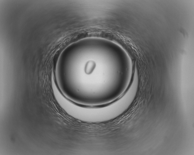 X0000112411445200908141350
