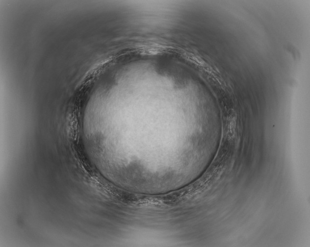 X0000112411446200908141350