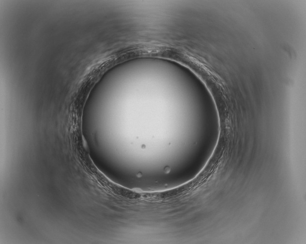 X0000112411447200908141350