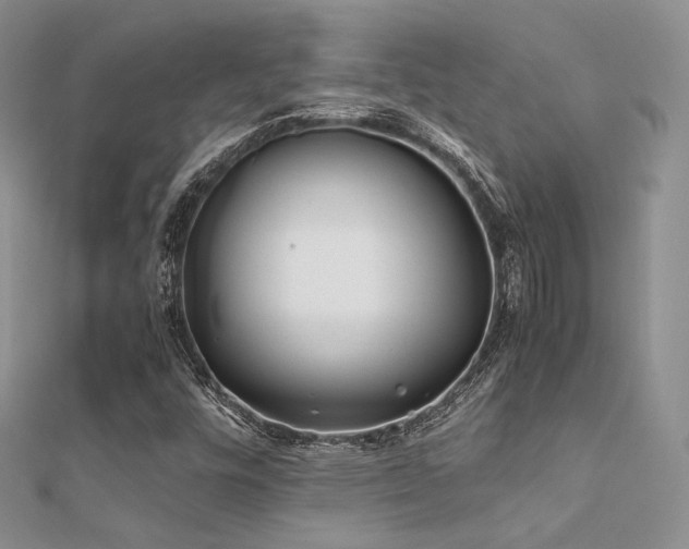 X0000112411448200908141350