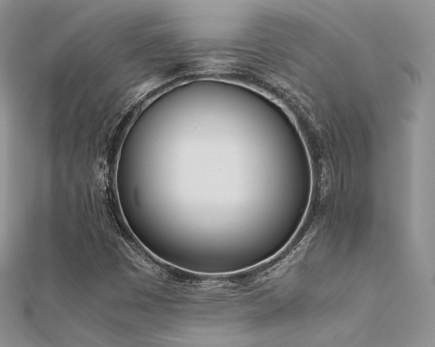 X0000112411449200908141350
