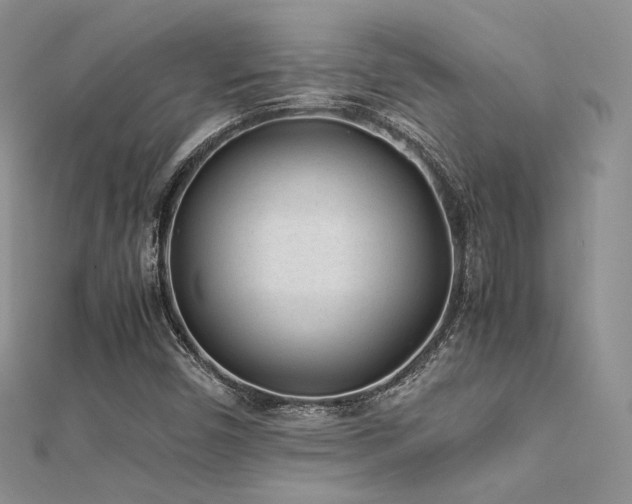 X0000112411450200908141350