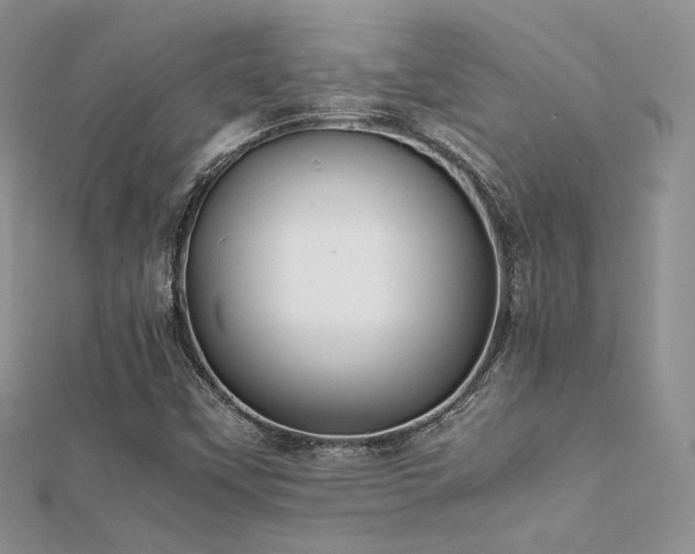 X0000112411451200908141350